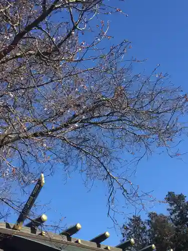 櫻木神社のその他建物