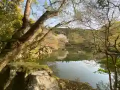 醍醐寺の自然