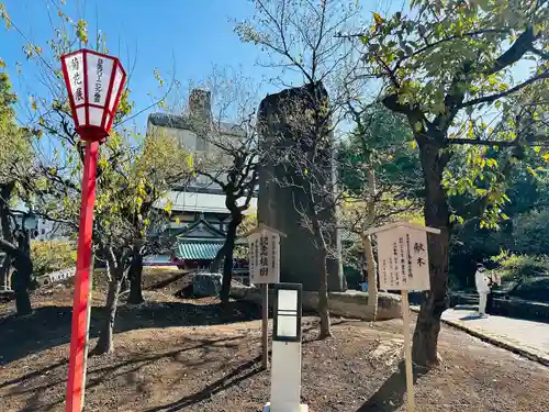 湯島天満宮(東京都)