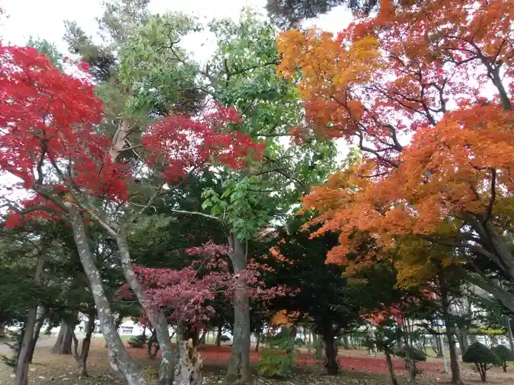 湧別神社の自然