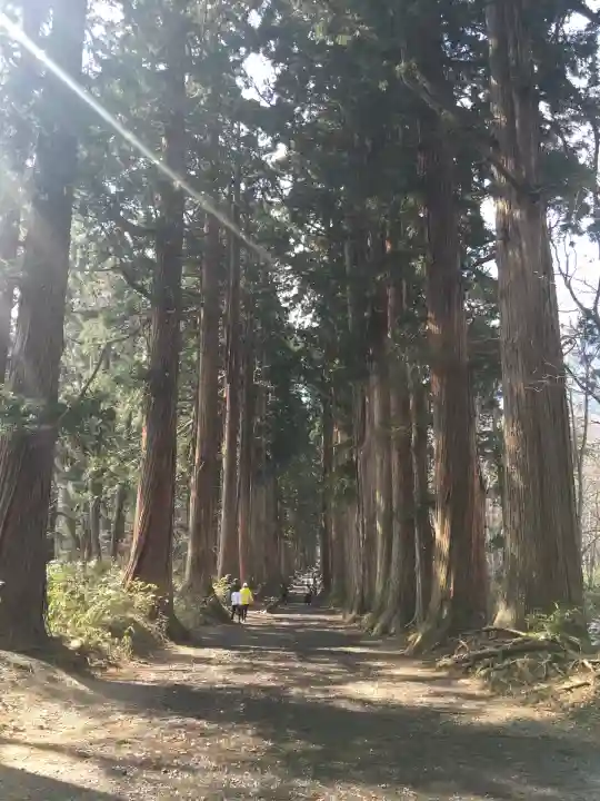 戸隠神社奥社(長野県)
