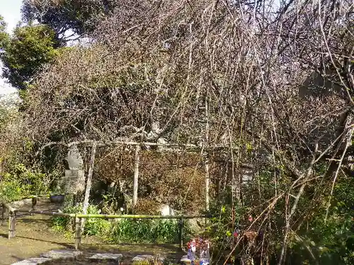 宝戒寺の庭園