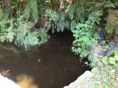 高瀧神社(千葉県)