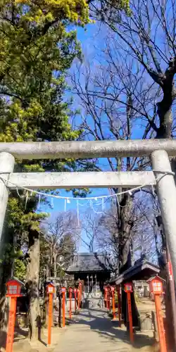 氷川神社(東京都)