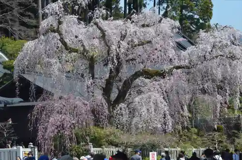 久遠寺(山梨県)