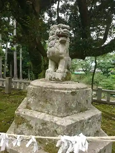 江沼神社の狛犬