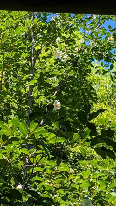 東林院(京都府)