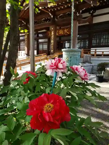 成願寺(東京都)