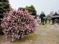 幸宮神社(埼玉県)