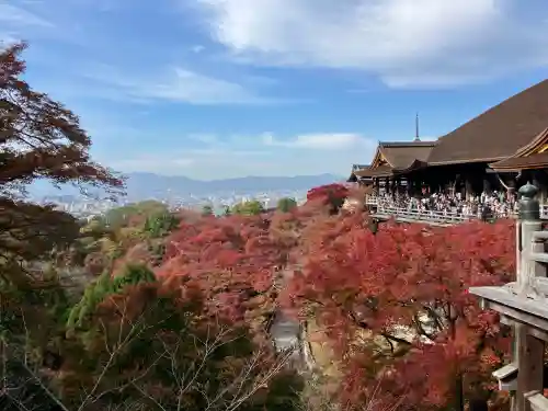 清水寺(京都府)