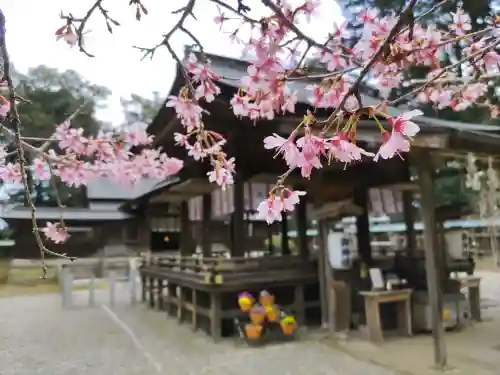 小御門神社(千葉県)