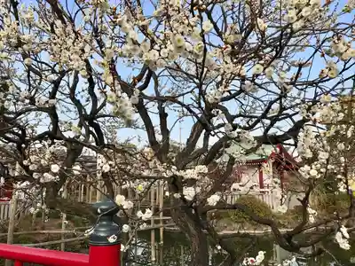 亀戸天神社(東京都)