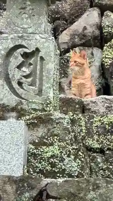 大威徳寺(大阪府)