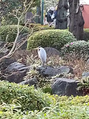 浅草寺(東京都)