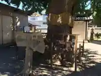 姪浜住吉神社(福岡県)