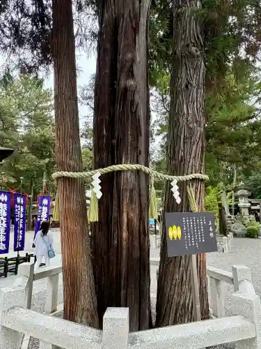 建部大社の{uncategorized: "未分類", other: "その他", undefined: "問題あり", building: "その他建物", grave: "お墓", sacred_gate: "鳥居", guardian: "狛犬", statue: "像", buddha: "仏像", history: "歴史", nature: "自然", garden: "庭園", animal: "動物", pagoda: "塔", temizu: "手水舎", mountain_gate: "山門・神門", sanctuary: "本殿・本堂", subordinate: "末社・摂社", art: "芸術", scenery: "景色", jizo: "地蔵", ema: "絵馬", goshuin: "御朱印", omikuji: "おみくじ", items: "授与品その他", amulet: "お守り", goshuincho: "御朱印帳", eats: "食事", festival: "お祭り", votive_dance: "神楽", shichigosan: "七五三参", wedding: "結婚式", experience: "体験その他", initially: "初詣", around: "周辺", anti_infection: "感染症対策"}