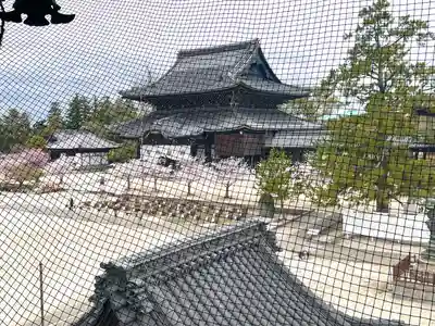 本山専修寺(三重県)