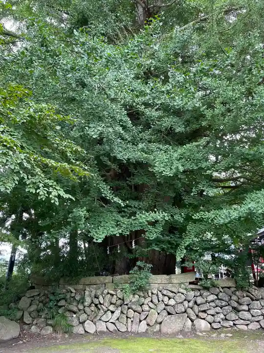 山寺日枝神社(山形県)