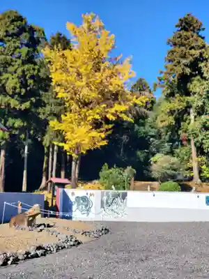 船玉神社のその他建物