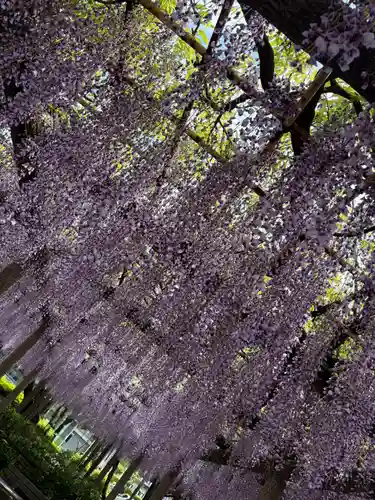 日吉神社(東京都)
