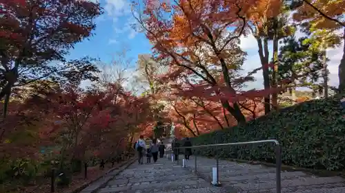 禅林寺（永観堂）(京都府)