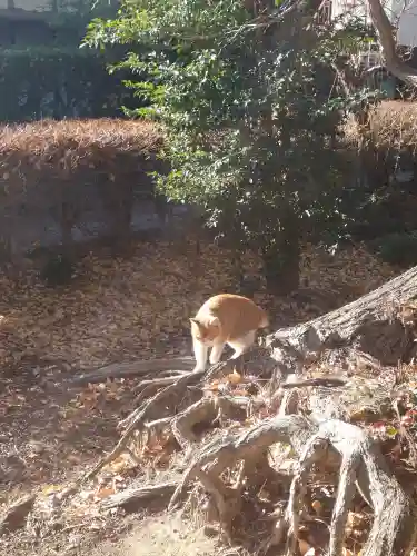 淡洲神社（太郎丸）の{uncategorized: "未分類", other: "その他", undefined: "問題あり", building: "その他建物", grave: "お墓", sacred_gate: "鳥居", guardian: "狛犬", statue: "像", buddha: "仏像", history: "歴史", nature: "自然", garden: "庭園", animal: "動物", pagoda: "塔", temizu: "手水舎", mountain_gate: "山門・神門", sanctuary: "本殿・本堂", subordinate: "末社・摂社", art: "芸術", scenery: "景色", jizo: "地蔵", ema: "絵馬", goshuin: "御朱印", omikuji: "おみくじ", items: "授与品その他", amulet: "お守り", goshuincho: "御朱印帳", eats: "食事", festival: "お祭り", votive_dance: "神楽", shichigosan: "七五三参", wedding: "結婚式", experience: "体験その他", initially: "初詣", around: "周辺", anti_infection: "感染症対策"}