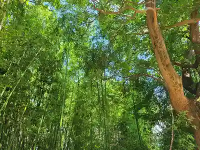 大宮八幡神社(愛媛県)