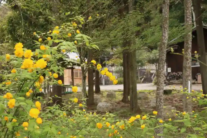 大國主神社の自然