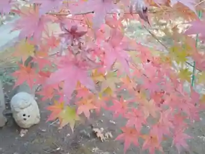 法華寺(神奈川県)