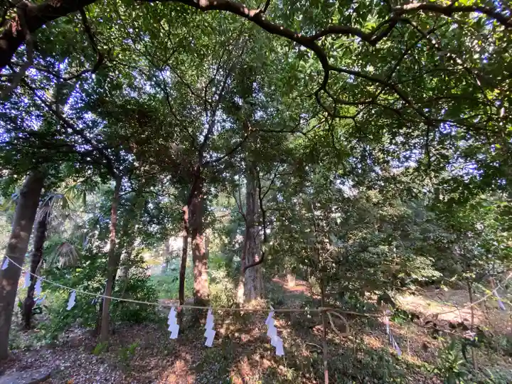布多天神社(東京都)