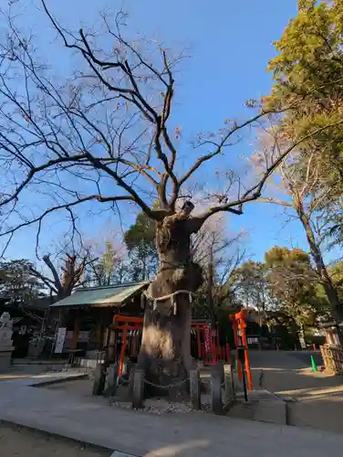 新田神社(東京都)