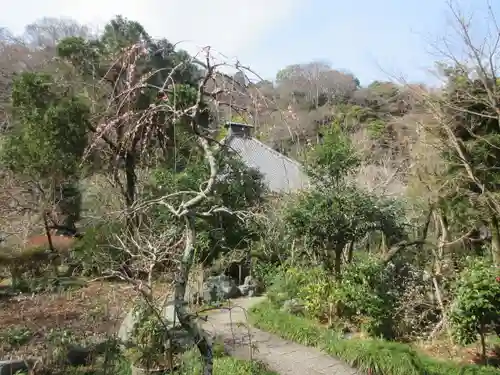 光則寺の庭園