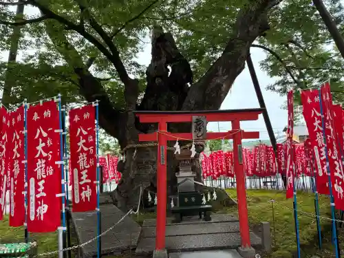 秩父今宮神社(埼玉県)