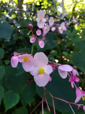 瑞源寺(福井県)