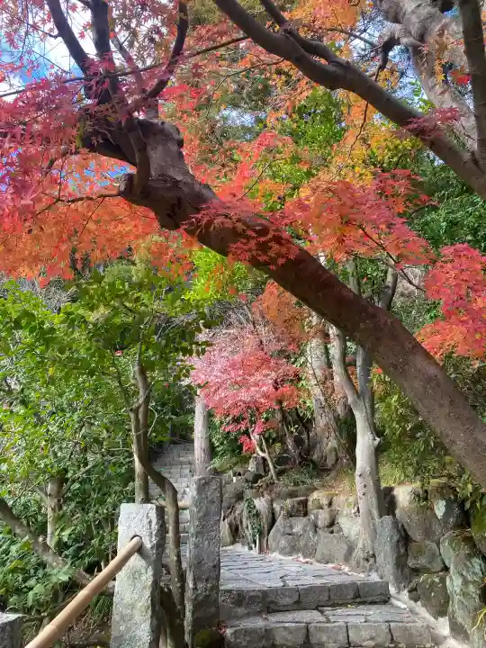 杉本寺(神奈川県)
