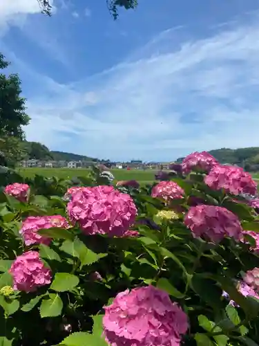 本興寺(石川県)