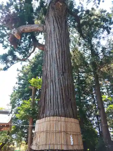 日高神社(岩手県)
