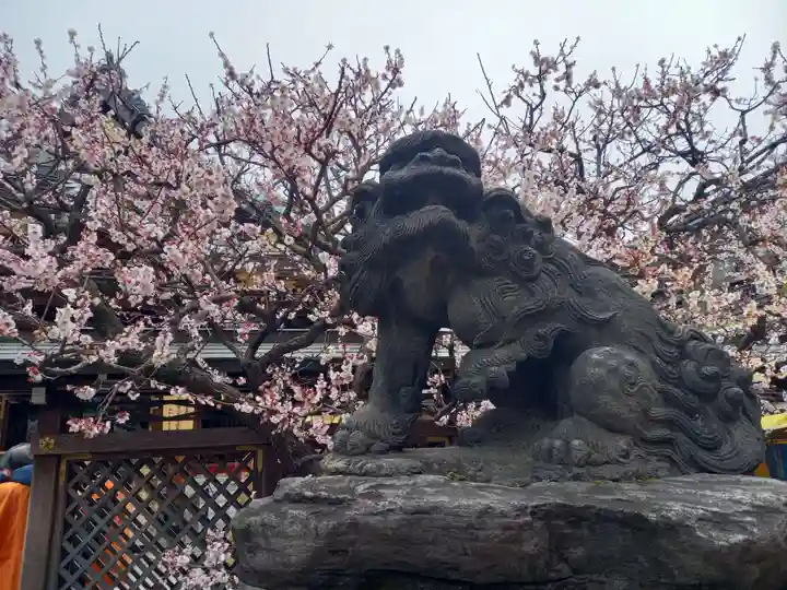 湯島天満宮(東京都)