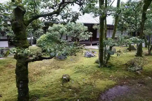 醍醐寺の庭園