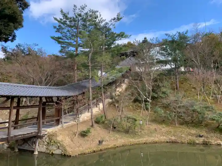 高台寺(高台寿聖禅寺・高臺寺)の庭園