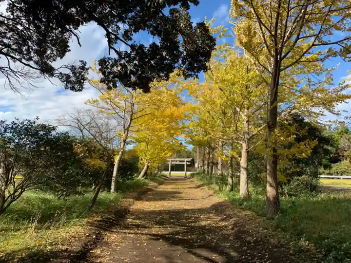 稲荷神社(千葉県)