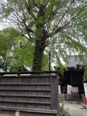 渋谷氷川神社(東京都)