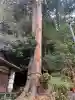 宇太水分神社(奈良県)