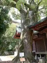 堀江神社の建物その他