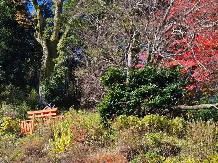 長谷寺(奈良県)
