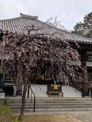 妙法寺(東京都)