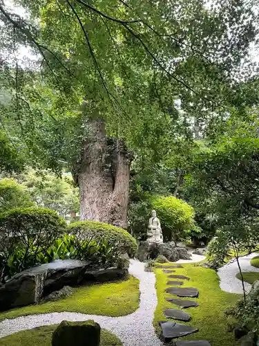 報国寺の庭園