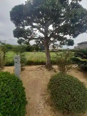 龍雲寺(大阪府)