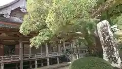 青岸渡寺の建物その他