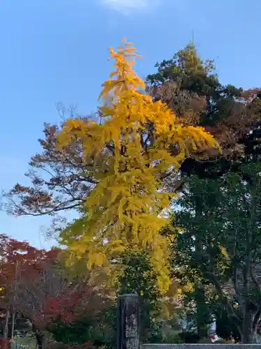 円通寺の庭園